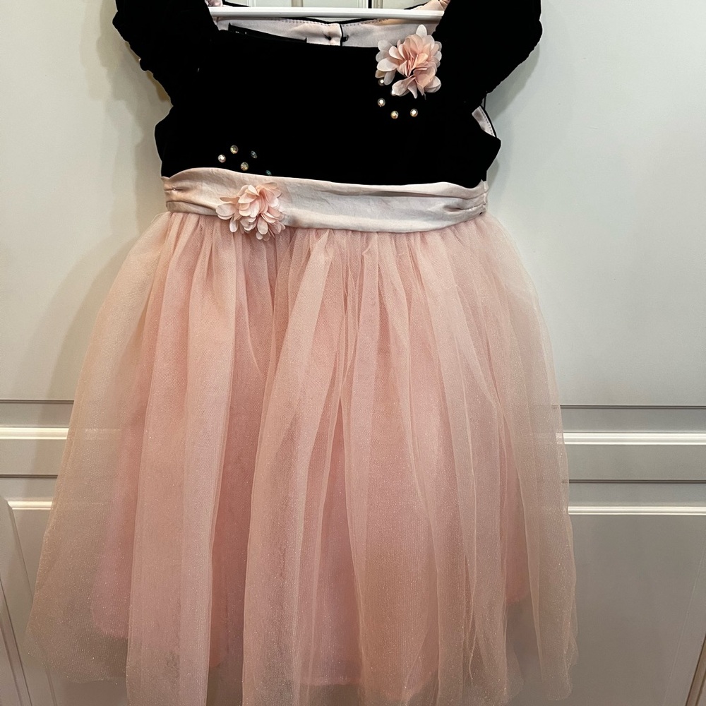 Biscotti Royal Velvet Pink and Black 3T Ballerina Boutique Dress